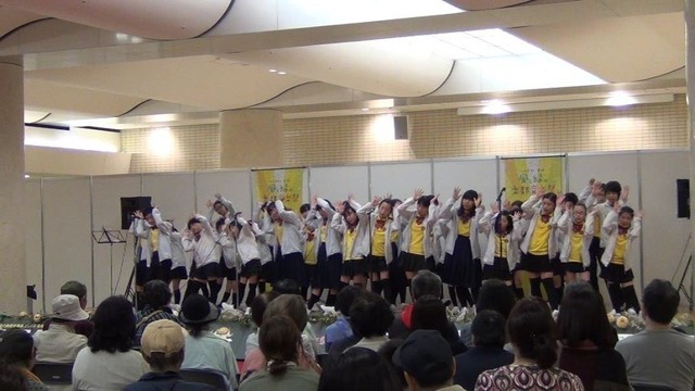 vs190503-011.jpg